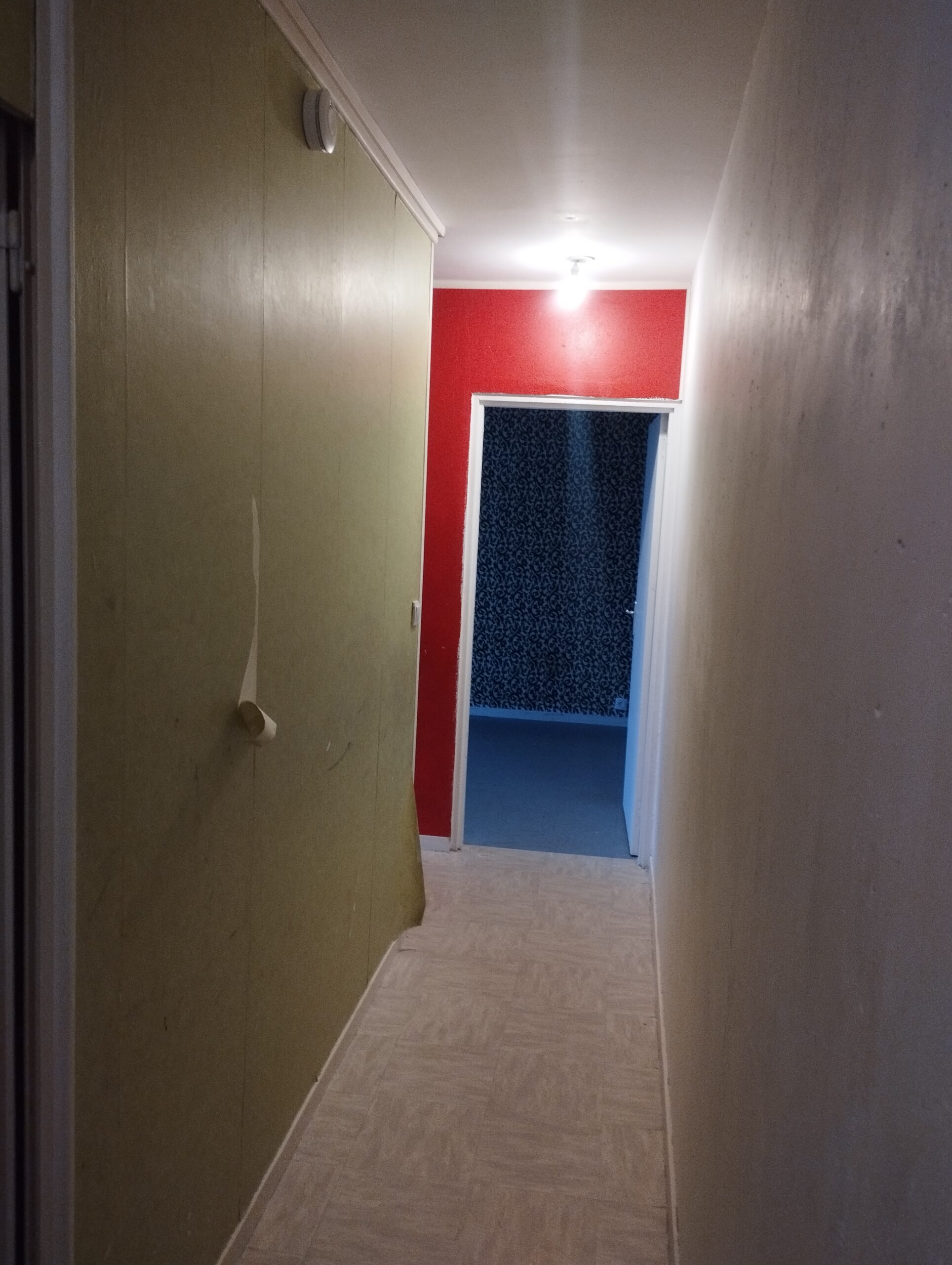 Rénovation du couloir / hall d'entrée - avant